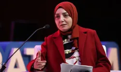 Cumhurbaşkanının başdanışmanı sosyal medyada küfürler etti!