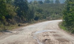 Siyasetçilerin taş ocağı kamyonları yolları mahvetti!
