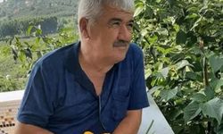 Ağaçtan düşerek yaşamını yitirdi!