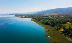 Sapanca Gölü'nde sevindirici haber!