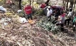 Karasu'da fındık dönüşü acı son!