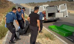 Yol kenarında ceset bulundu