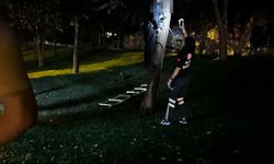 Yol kenarındaki ağaçta cansız beden bulundu!