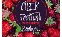 Pamukova'da Çilek Festivali başlıyor!