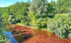 Çevre müdürü mühendisi tehdit etti