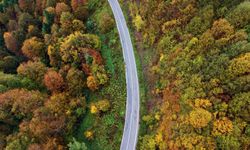 Sonbahar güzelliği Çam Dağı'nı sardı