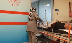 Mantar sezonu açıldı: 1 kişi zehirlendi