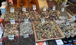 Kış aylarında bitki çayları ile hastalıklara karşı önlem