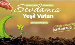 Yeşil gelecek için Sakarya’da fidanlar dikiliyor