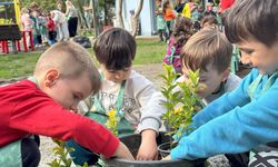 Sakarya'da toprağa minik eller dokundu