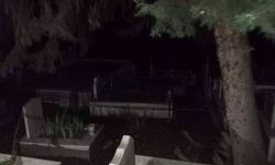 İş adamı babasının mezarında ölü bulundu