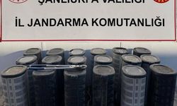 Hırsızlık yaparken suçüstü yakalandılar!