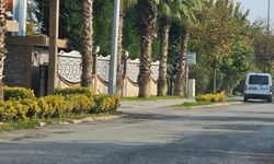 Sapanca'da gizemli ölüm