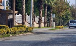 Sapanca'daki gizemli ölümün detayları