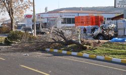 Otomobil ikiye bölündü: Genç çocuklara mezar oldu