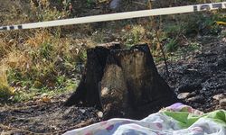 Bahçe temizliği facia ile sonuçlandı