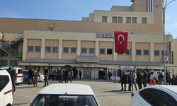 Kardeşlerden biri hayatını kaybetti, diğeri yaralandı