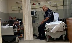 Ormandaki mantarlardan 7 kişi zehirlendi