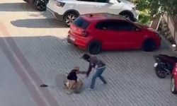 Yaşlı adam sokak ortasında öldürdü