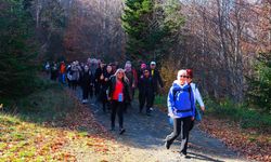 Sonbahar'ın renkleriyle 14 kilometrelik yürüyüş