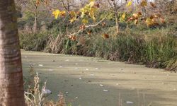 Su kanalı çöplüğe döndü