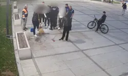 Çekirdek keyfi pahalıya patladı!