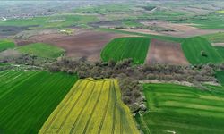 Reddedilen dev OSB projesine onay çıktı