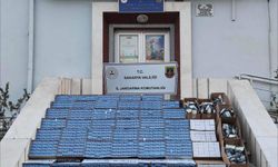 Kaçakçılık operasyonunda 3 gözaltı