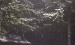 Mevsimin ilk karı düştü