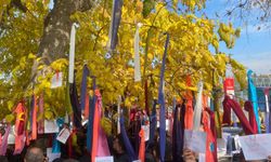 Memurun ve emeklinin dilek ağacı