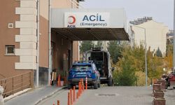 Kayınbabası ve kayınbiraderini katletti