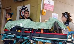 Donmak üzereyken bulundu