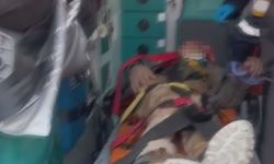 Dayısı tarafından dövülerek ölüme terkedildi