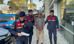 Ağaç keserken komşusunun ölümüne neden oldu