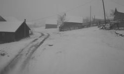 Sakarya'nın yüksek kesimleri beyaza büründü