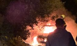 Feci şekilde can verdi