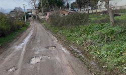 Mahallenin yol çilesi bitmiyor