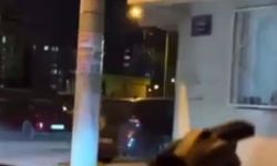 Sokakta tehditler savurarak ateş etti