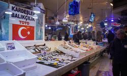 İstavrit hamsiyi geride bıraktı