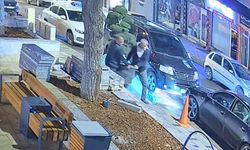 Parktaki ağacı araçla çaldılar