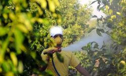 Böcek ilaçları artık reçetesiz satılamayacak