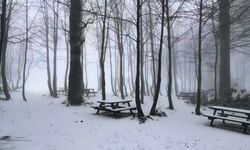 Sakarya'da yüksek kesimlere kar yağdı