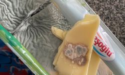 Güneşoğlu ürünlerinde küf çıktı!