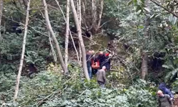 Kestiği ağacın çarptığı vatandaş uçuruma yuvarlandı