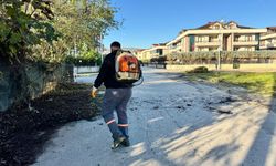 Serdivan'da mahalleler temizleniyor