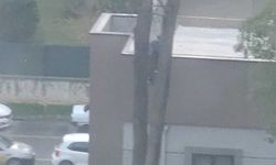 Çatıya çıktı: Canına kıymak istedi