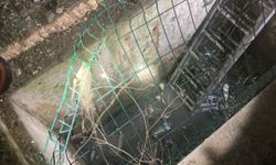 Dengesini kaybetti: Kuyuya düştü