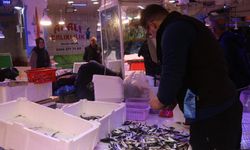 Balıkçı tezgahları istavrit doldu