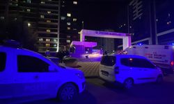 Kız kardeşini öldürüp annesini ağır yaraladı: Canına kıydı