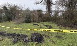 Göl kenarında bulunan cesedin ölüm sebebi